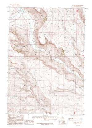 Rocky Creek topo map