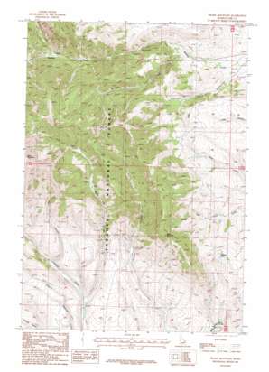 Heart Mountain USGS topographic map 44112c6