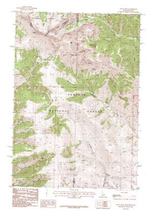 Scott Peak USGS topographic map 44112c7