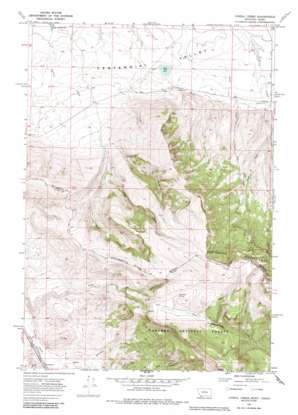 Corral Creek topo map