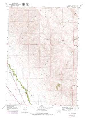 Briggs Ranch topo map
