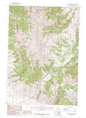 Borah Peak USGS topographic map 44113a1