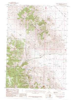 Hawley Mountain USGS topographic map 44113a3