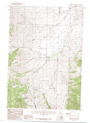 Warren Mountain USGS topographic map 44113a4