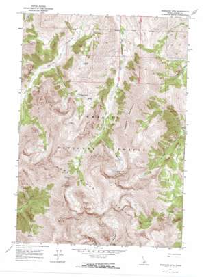 Massacre Mountain USGS topographic map 44113a5