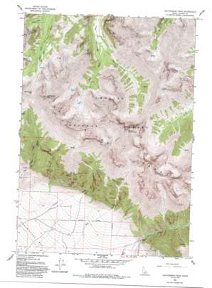 Leatherman Peak USGS topographic map 44113a6