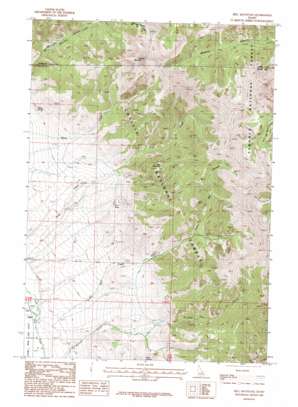 Bell Mountain USGS topographic map 44113b2
