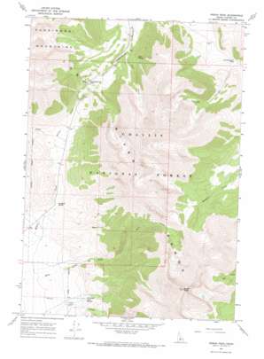 Borah Peak USGS topographic map 44113b7