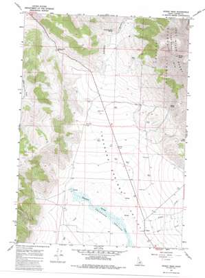 Dickey Peak USGS topographic map 44113b8