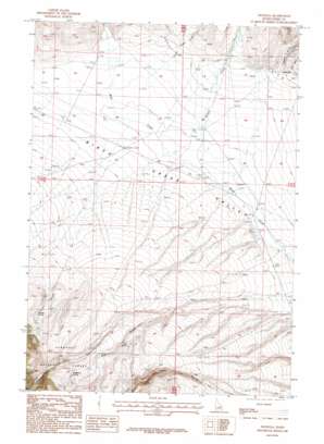 Nicholia USGS topographic map 44113c1