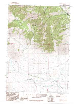 Big Windy Peak USGS topographic map 44113c4