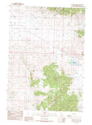 Donkey Creek USGS topographic map 44113c5