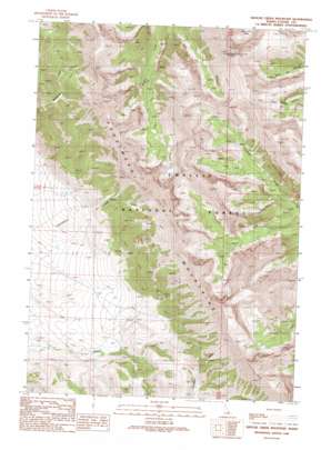 Grouse Creek Mountain topo map