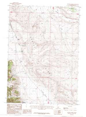 Gilmore Summit USGS topographic map 44113d2