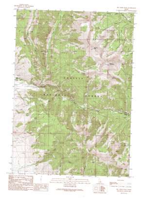 Big Creek Peak USGS topographic map 44113d5