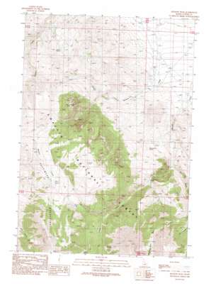 Meadow Peak USGS topographic map 44113d8