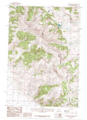 Leadore USGS topographic map 44113e1