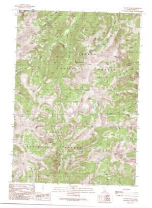 Yellow Peak USGS topographic map 44113e5