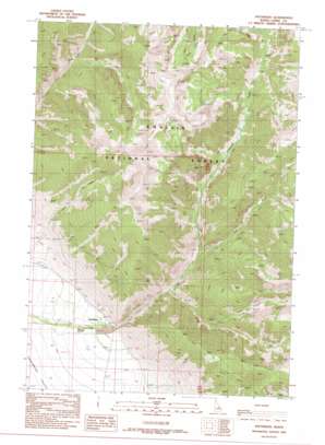 Patterson USGS topographic map 44113e6