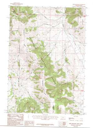 Tepee Mountain USGS topographic map 44113f1