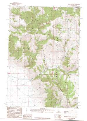 Reservoir Creek USGS topographic map 44113f2