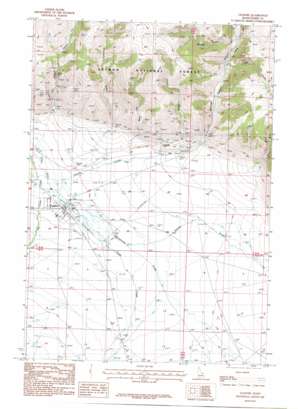 Leadore USGS topographic map 44113f3