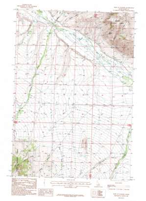 West Of Leadore topo map