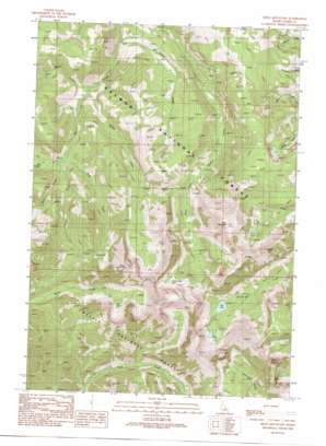 Mogg Mountain USGS topographic map 44113f6