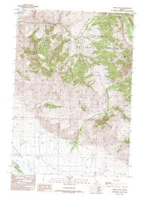 Ennis Gulch USGS topographic map 44113f8