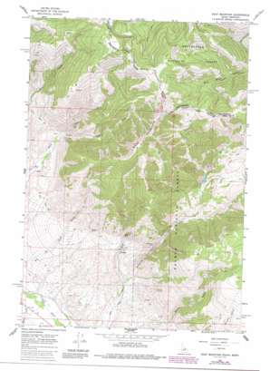 Goat Mountain USGS topographic map 44113g4