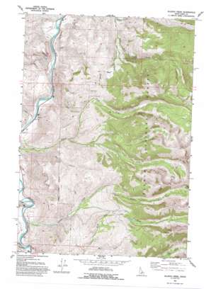 Allison Creek topo map