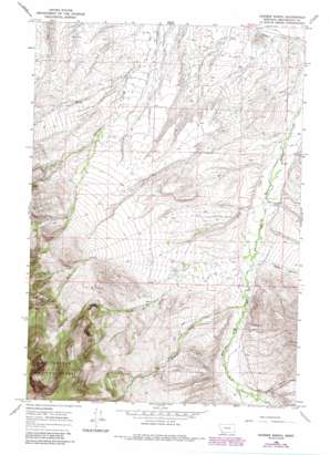 Hansen Ranch USGS topographic map 44113h1