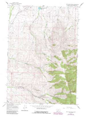 Jeff Davis Peak USGS topographic map 44113h2