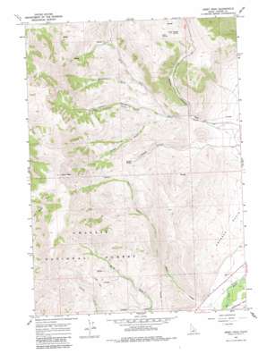 White Cloud Peaks USGS topographic map 44114a1