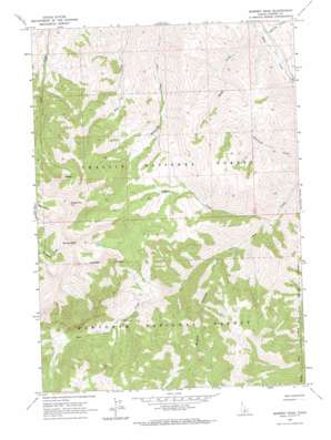 Bowery Peak USGS topographic map 44114a3