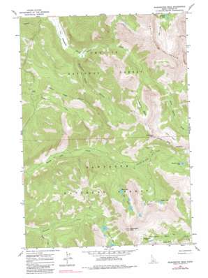Washington Peak USGS topographic map 44114a6