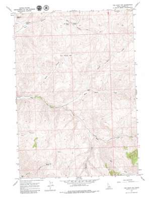 The Paint Pot USGS topographic map 44114b2