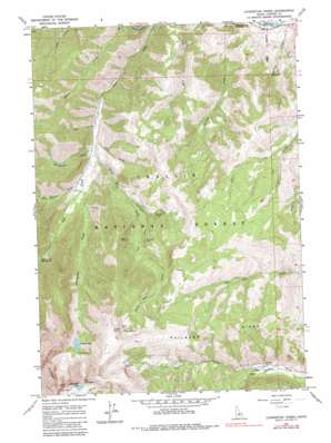 Livingston Creek USGS topographic map 44114b5
