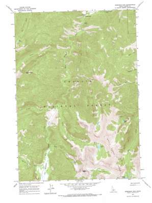 Robinson Bar USGS topographic map 44114b6