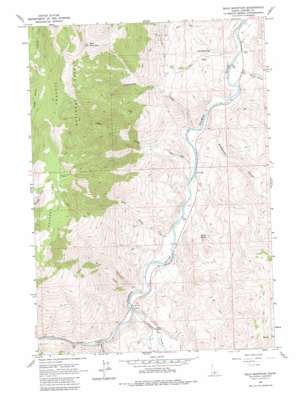 Bald Mountain USGS topographic map 44114c3