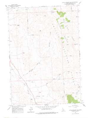 Little Antelope Flat USGS topographic map 44114d1