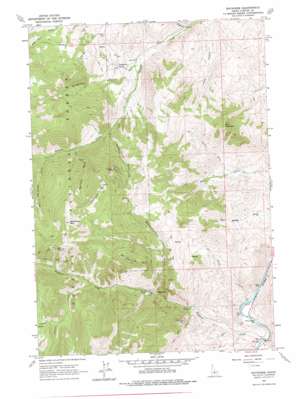 Pats Creek USGS topographic map 44114d3