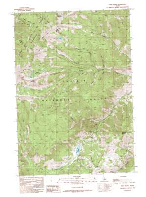 Twin Peaks USGS topographic map 44114e4
