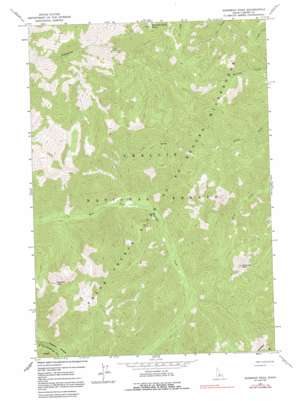 Sherman Peak USGS topographic map 44114e6