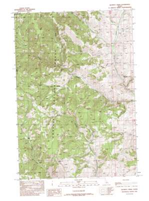 Blowfly Creek USGS topographic map 44114f3