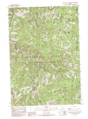 White Goat Mountain USGS topographic map 44114f4
