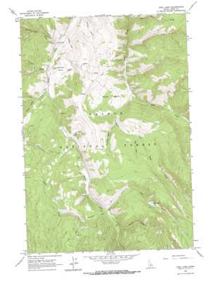Opal Lake topo map