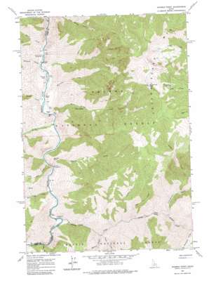 Yellowjacket USGS topographic map 44114h6