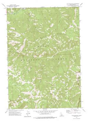 Tyee Mountain USGS topographic map 44115a3
