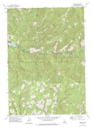 Lowman USGS topographic map 44115a5